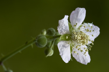 Similar image 9398400