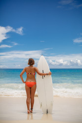 Similar image 9400246