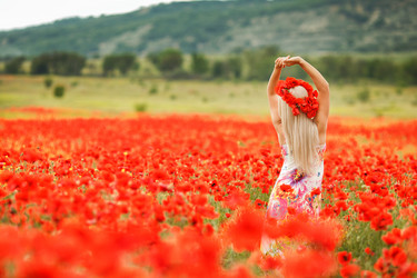 Similar image 9400576