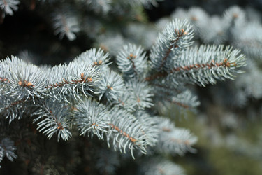 Similar image 9402193