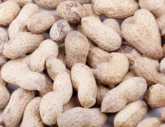 Similar image 9402319