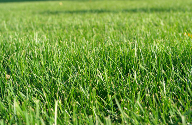 Similar image 9402554