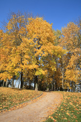 Similar image 9402568