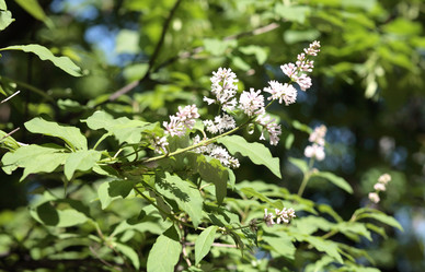 Similar image 9402647