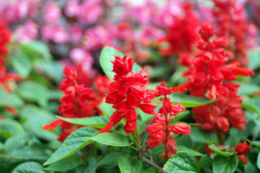 Similar image 9402661