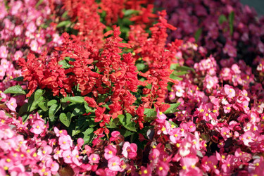 Similar image 9402680