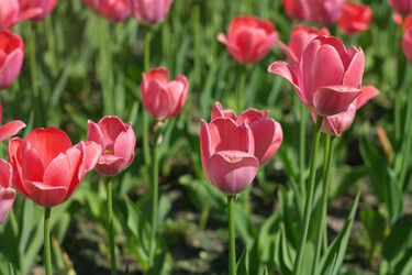 Similar image 9402721