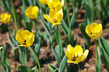 Similar image 9402726