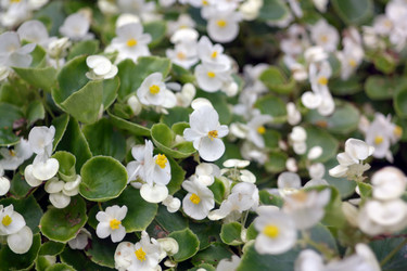 Similar image 9402730