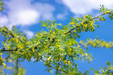 Similar image 9402734