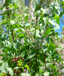 Similar image 9402736