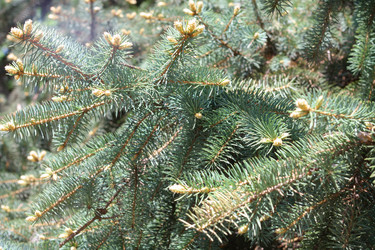 Similar image 9402740