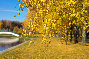 Similar image 9402745