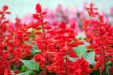 Similar image 9402771