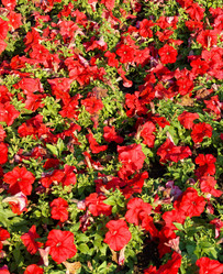 Similar image 9402776