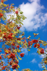 Similar image 9402782