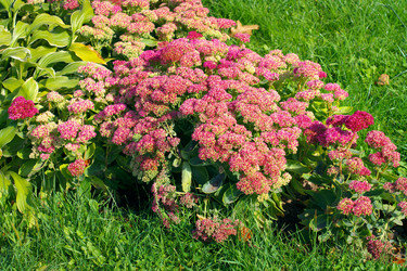 Similar image 9402797