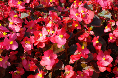 Similar image 9402802