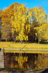 Similar image 9402806