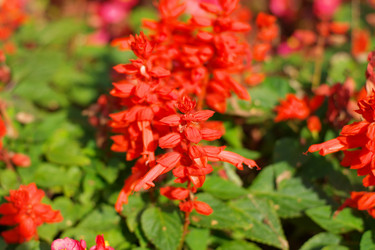 Similar image 9402906