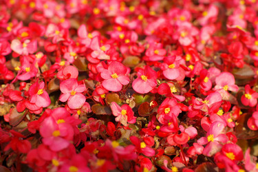 Similar image 9402908