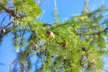 Similar image 9402910