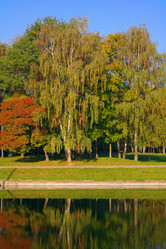 Similar image 9402982