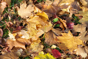 Similar image 9402990