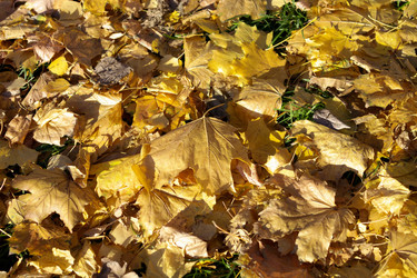 Similar image 9402993