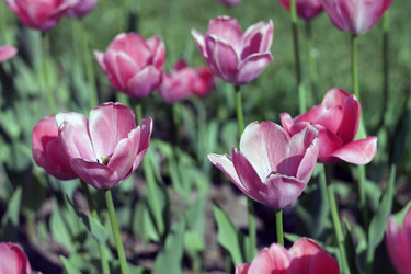 Similar image 9403005