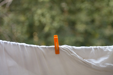 Similar image 9403007