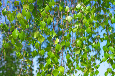 Similar image 9403009