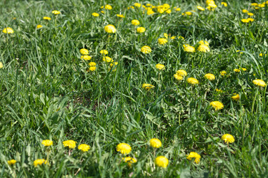 Similar image 9403011