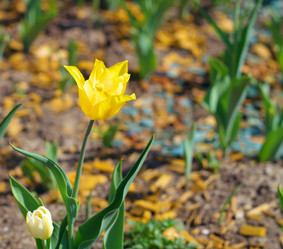 Similar image 9403013