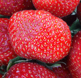 Similar image 9403289