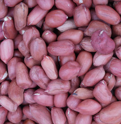 Similar image 9403291