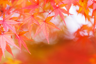 Similar image 9403441