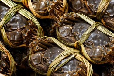 Similar image 9403678