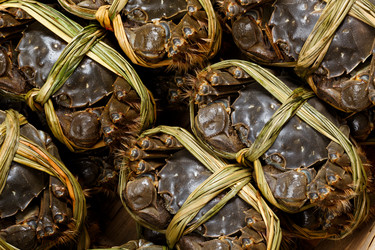 Similar image 9403681