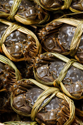 Similar image 9403685