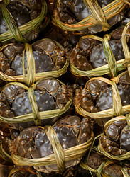 Similar image 9403851