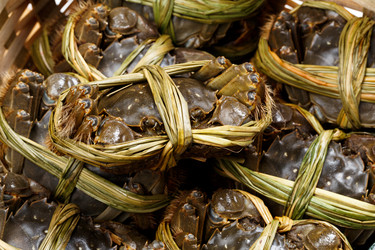 Similar image 9403854