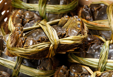 Similar image 9403858