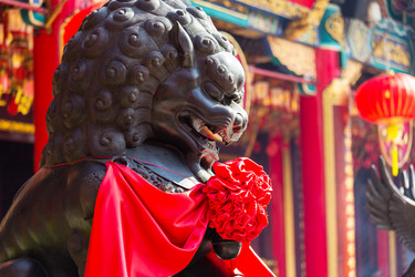 Similar image 9403881