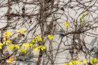 Similar image 9403904