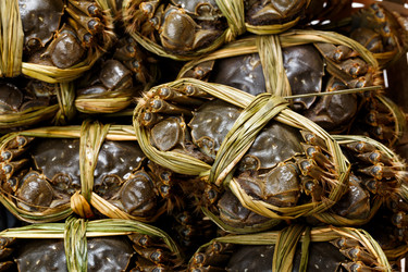 Similar image 9404287