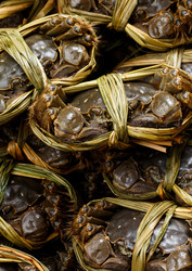 Similar image 9404289