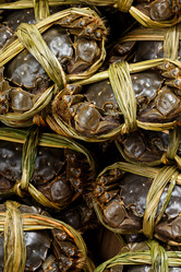 Similar image 9404294