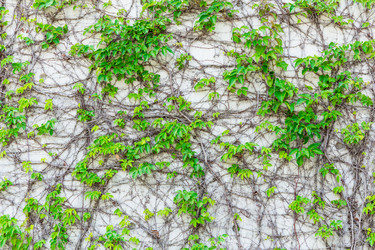 Similar image 9404484