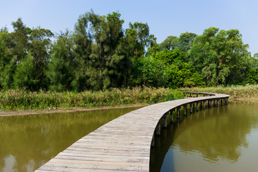 Similar image 9404637